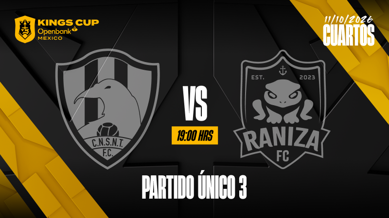Partido Único 3 - Cuartos de Final